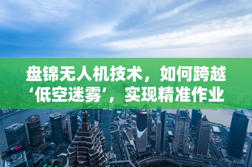 盘锦无人机技术，如何跨越‘低空迷雾’，实现精准作业？