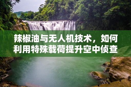 辣椒油与无人机技术，如何利用特殊载荷提升空中侦查能力？