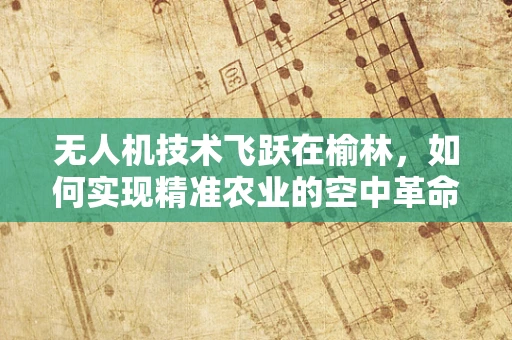 无人机技术飞跃在榆林，如何实现精准农业的空中革命？