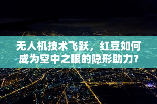 无人机技术飞跃，红豆如何成为空中之眼的隐形助力？
