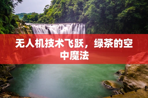 无人机技术飞跃，绿茶的空中魔法