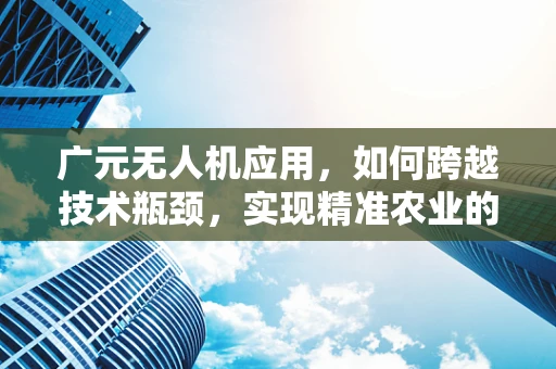广元无人机应用，如何跨越技术瓶颈，实现精准农业的飞跃？