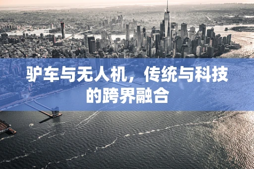 驴车与无人机，传统与科技的跨界融合