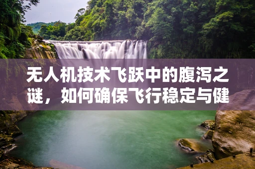 无人机技术飞跃中的腹泻之谜，如何确保飞行稳定与健康监测的融合？