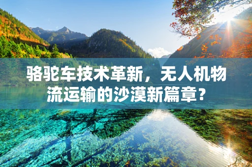 骆驼车技术革新，无人机物流运输的沙漠新篇章？
