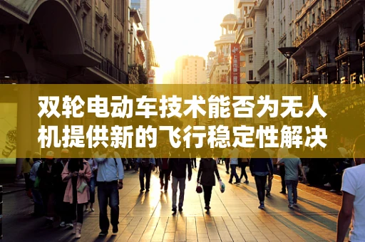 双轮电动车技术能否为无人机提供新的飞行稳定性解决方案？