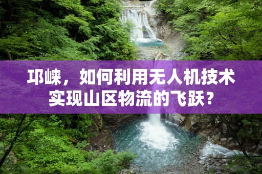 邛崃，如何利用无人机技术实现山区物流的飞跃？