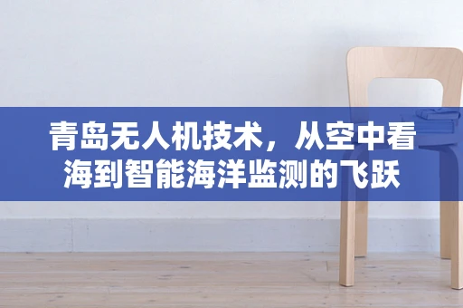 青岛无人机技术，从空中看海到智能海洋监测的飞跃