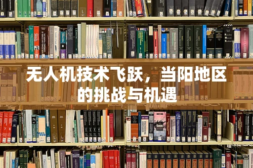 无人机技术飞跃，当阳地区的挑战与机遇