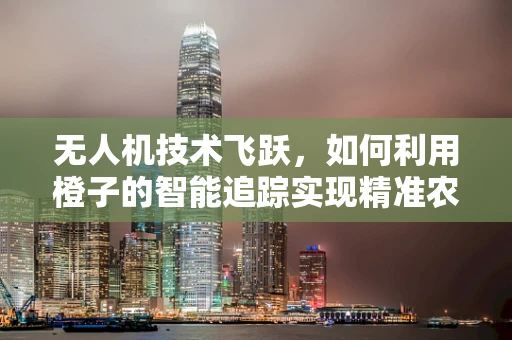 无人机技术飞跃，如何利用橙子的智能追踪实现精准农业新突破？
