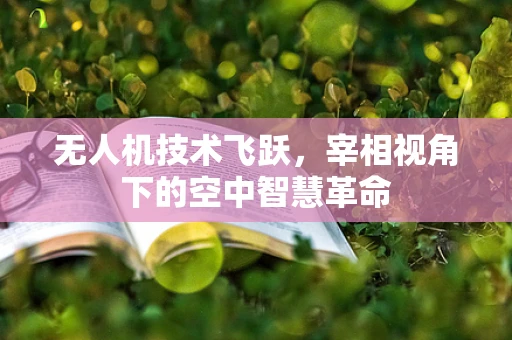无人机技术飞跃，宰相视角下的空中智慧革命