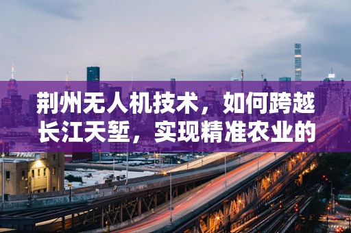 荆州无人机技术，如何跨越长江天堑，实现精准农业的飞跃？