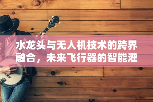 水龙头与无人机技术的跨界融合，未来飞行器的智能灌溉新纪元？