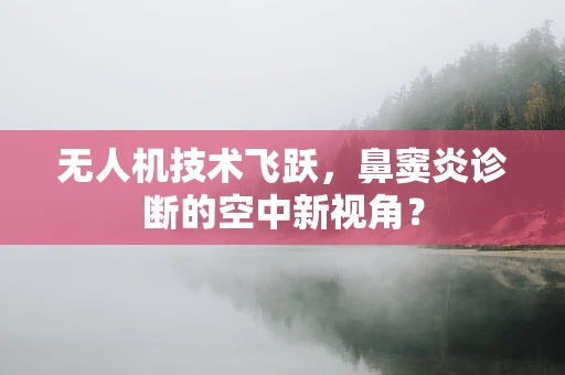 无人机技术飞跃，鼻窦炎诊断的空中新视角？