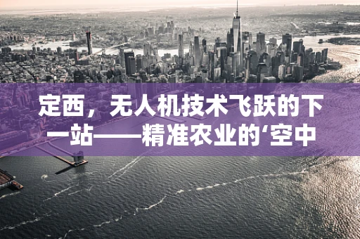 定西，无人机技术飞跃的下一站——精准农业的‘空中之眼’