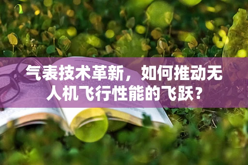 气表技术革新，如何推动无人机飞行性能的飞跃？