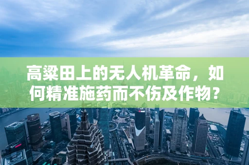 高粱田上的无人机革命，如何精准施药而不伤及作物？