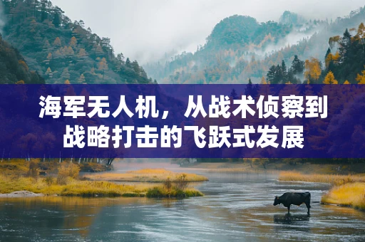 海军无人机，从战术侦察到战略打击的飞跃式发展