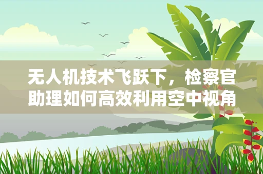 无人机技术飞跃下，检察官助理如何高效利用空中视角进行证据收集？
