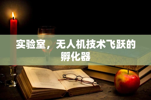 实验室，无人机技术飞跃的孵化器