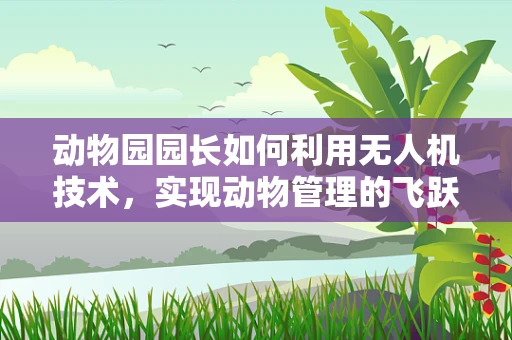 动物园园长如何利用无人机技术，实现动物管理的飞跃？