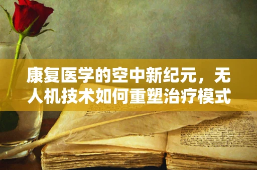 康复医学的空中新纪元，无人机技术如何重塑治疗模式？