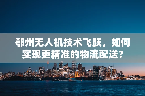 鄂州无人机技术飞跃，如何实现更精准的物流配送？