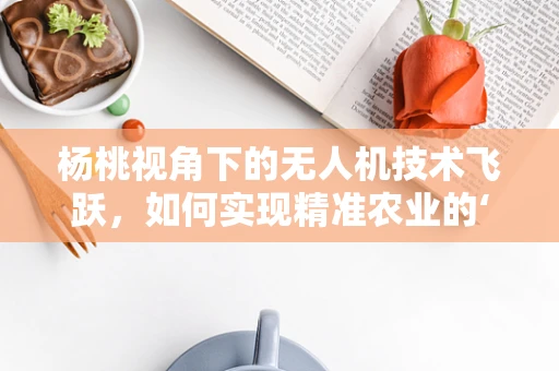 杨桃视角下的无人机技术飞跃，如何实现精准农业的‘甜蜜’落地？