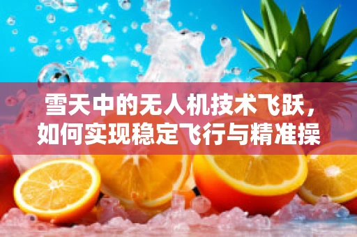 雪天中的无人机技术飞跃，如何实现稳定飞行与精准操控？