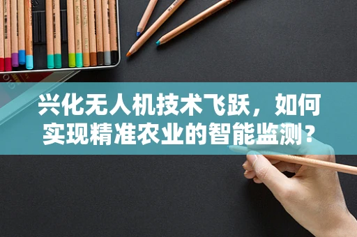 兴化无人机技术飞跃，如何实现精准农业的智能监测？