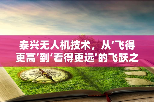 泰兴无人机技术，从‘飞得更高’到‘看得更远’的飞跃之路