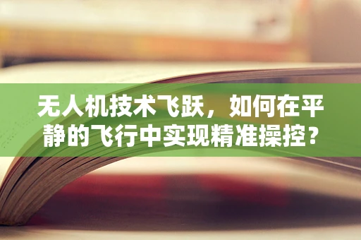 无人机技术飞跃，如何在平静的飞行中实现精准操控？