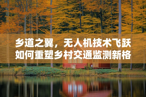 乡道之翼，无人机技术飞跃如何重塑乡村交通监测新格局？