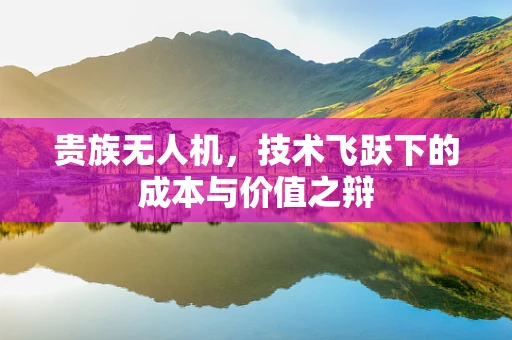 贵族无人机，技术飞跃下的成本与价值之辩