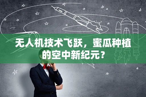 无人机技术飞跃，蜜瓜种植的空中新纪元？