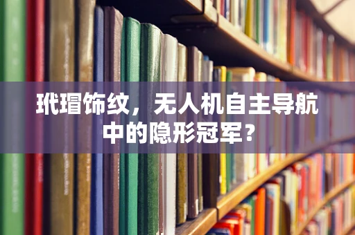 玳瑁饰纹，无人机自主导航中的隐形冠军？