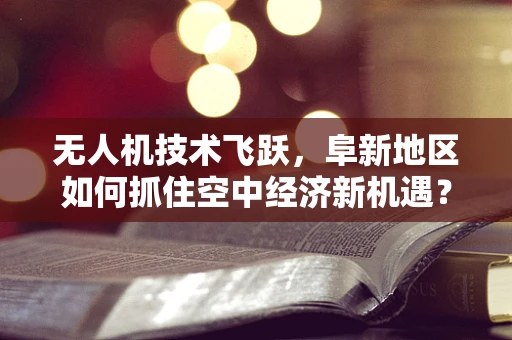 无人机技术飞跃，阜新地区如何抓住空中经济新机遇？