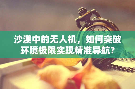沙漠中的无人机，如何突破环境极限实现精准导航？