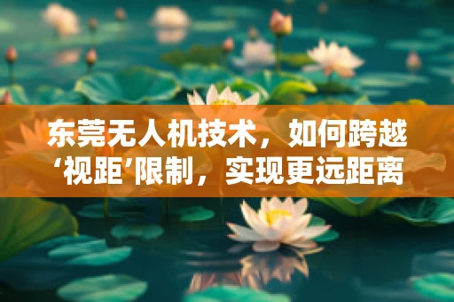 东莞无人机技术，如何跨越‘视距’限制，实现更远距离的飞行？