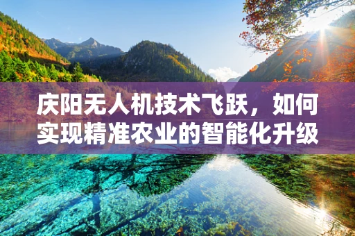 庆阳无人机技术飞跃，如何实现精准农业的智能化升级？