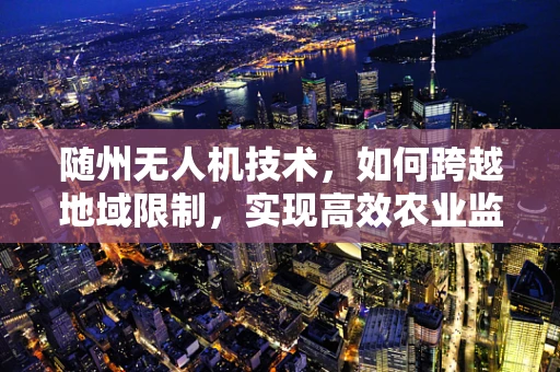 随州无人机技术，如何跨越地域限制，实现高效农业监测？