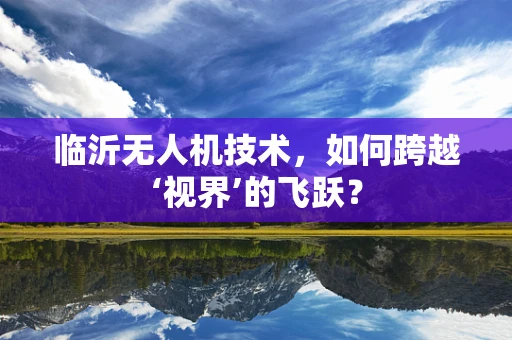临沂无人机技术，如何跨越‘视界’的飞跃？