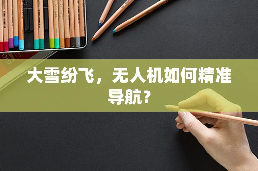 大雪纷飞，无人机如何精准导航？