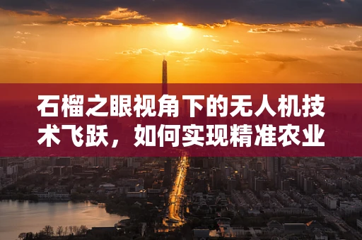 石榴之眼视角下的无人机技术飞跃，如何实现精准农业监测的智能升级？