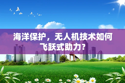 海洋保护，无人机技术如何飞跃式助力？