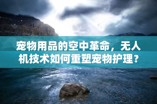 宠物用品的空中革命，无人机技术如何重塑宠物护理？