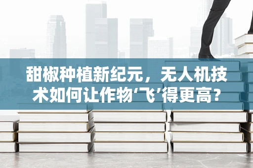 甜椒种植新纪元，无人机技术如何让作物‘飞’得更高？
