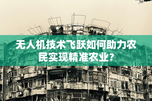 无人机技术飞跃如何助力农民实现精准农业？