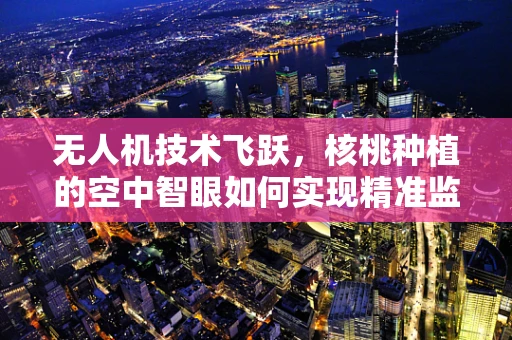 无人机技术飞跃，核桃种植的空中智眼如何实现精准监测？