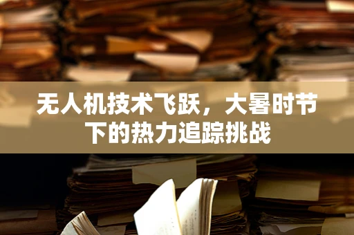 无人机技术飞跃，大暑时节下的热力追踪挑战